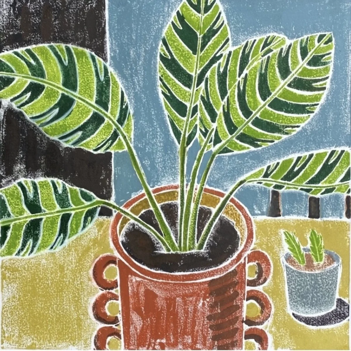 Gillian Haig | Spring Cuttings