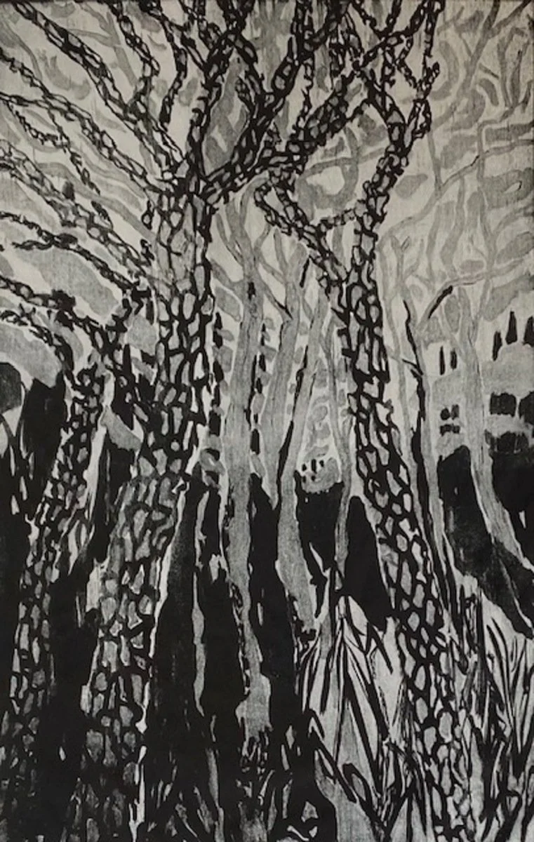 Robyn Blaikie Ancient pine canopy.jpg