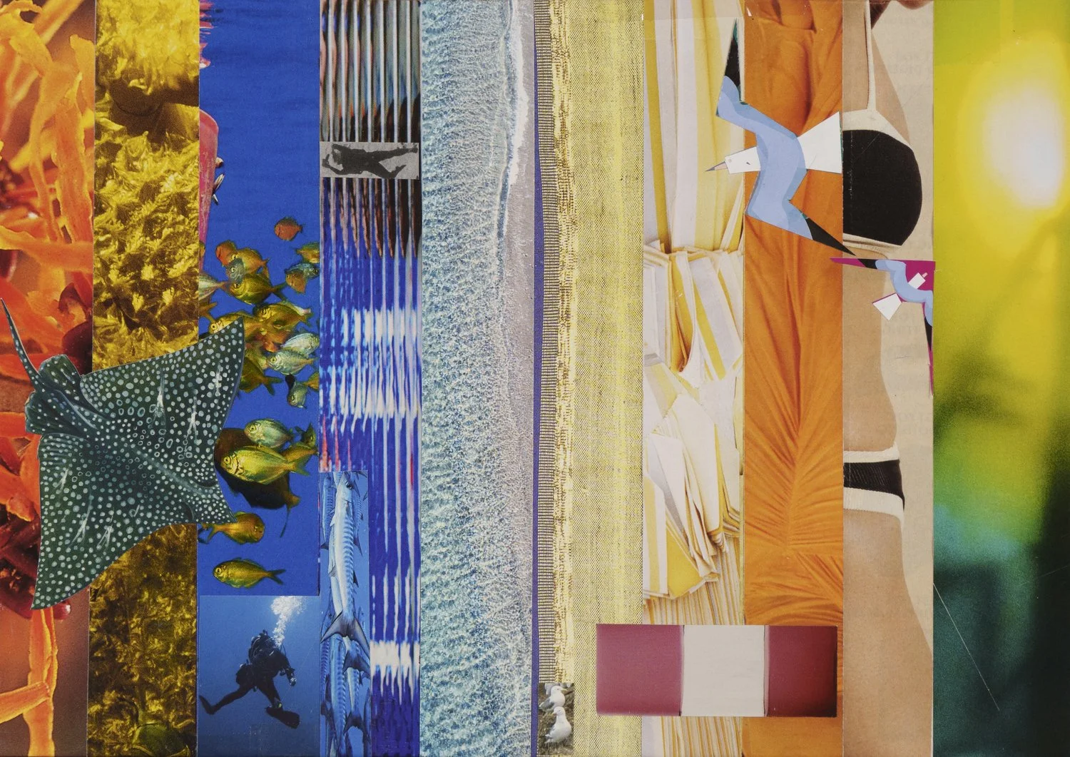 Savaad Felich | Sorrento Front Beach