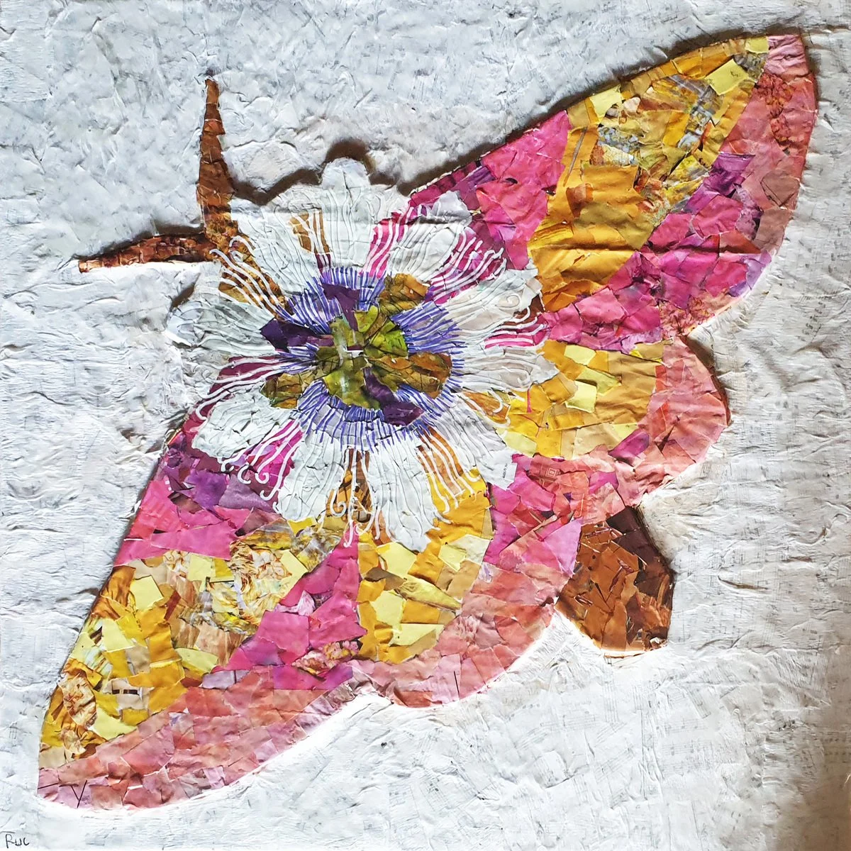 Ruby Wyatt-Carter | Rosy Maple & Passion