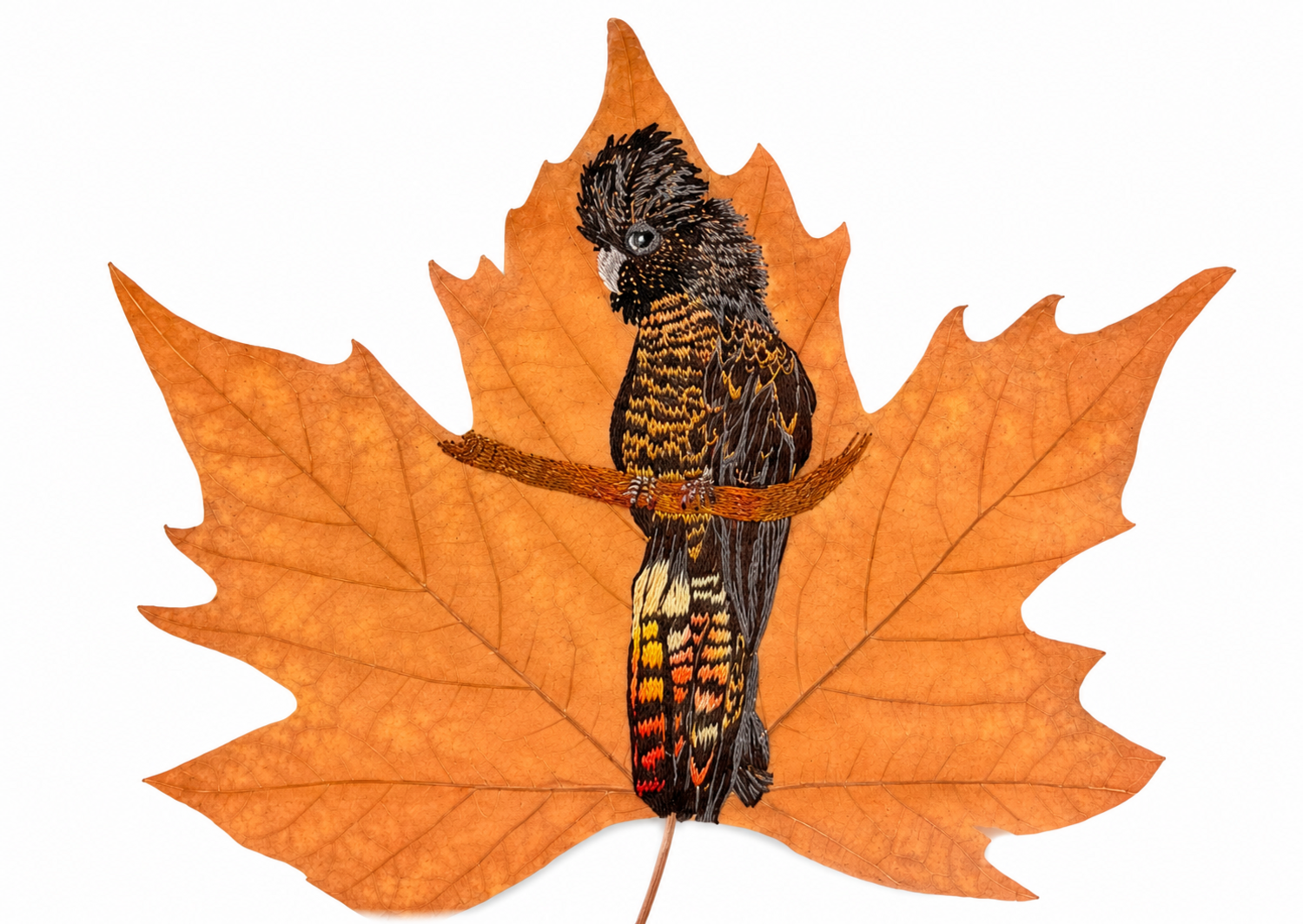 30e45845-0158-4dd4-8d0c-66f29be2fcf8-l.png