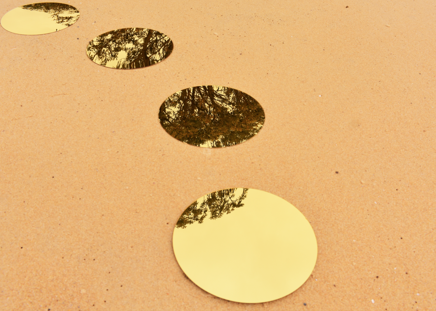 Branka Uljarevic | Fragments of Tree