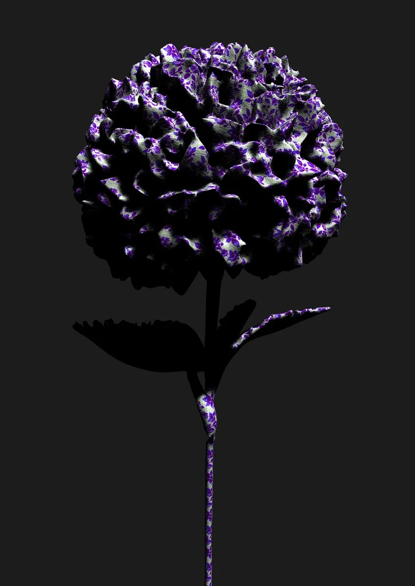 Richard McCoy Hydrangea.jpg