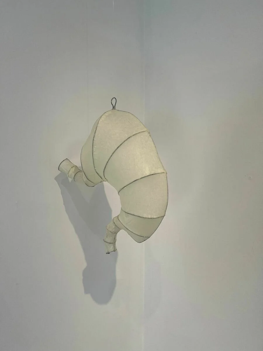 Rubi Taylor Untitled 7.jpeg