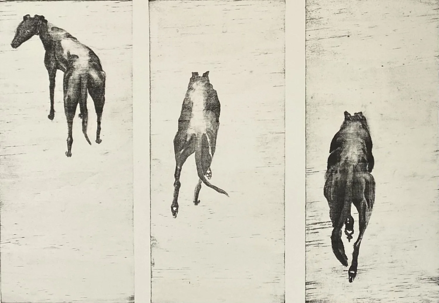 Robyn Blaikie Heading homeward.jpg