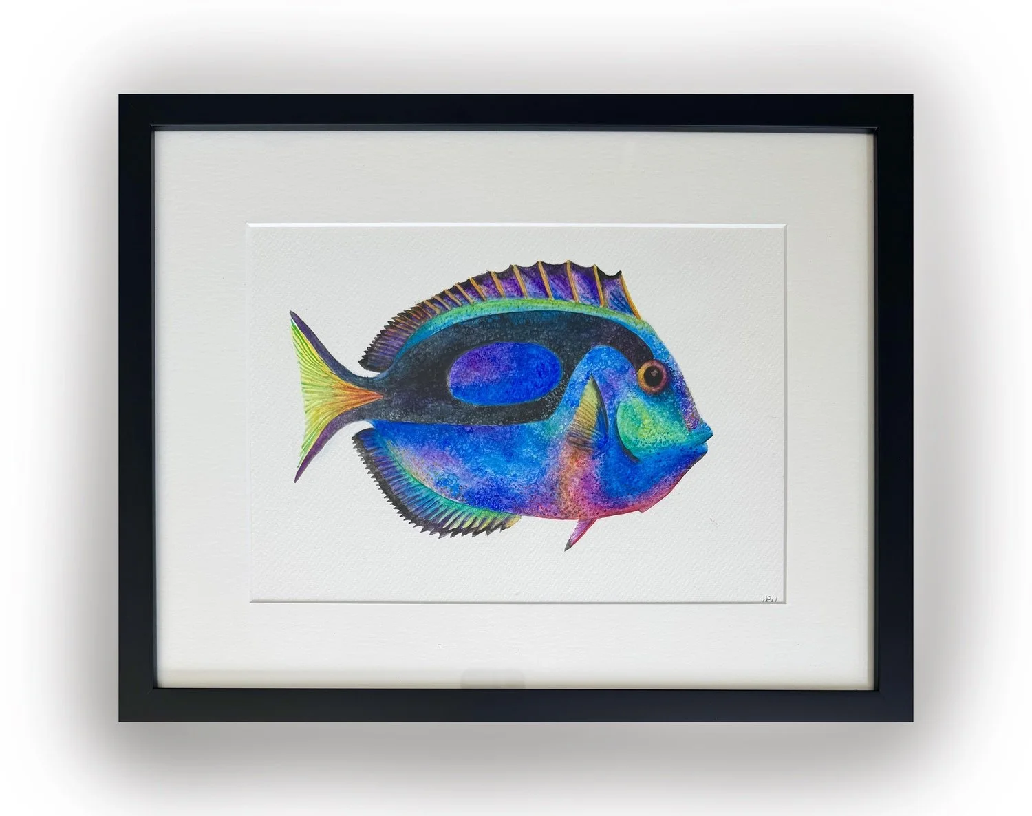 Alycia Page Wilson | Blue Tang