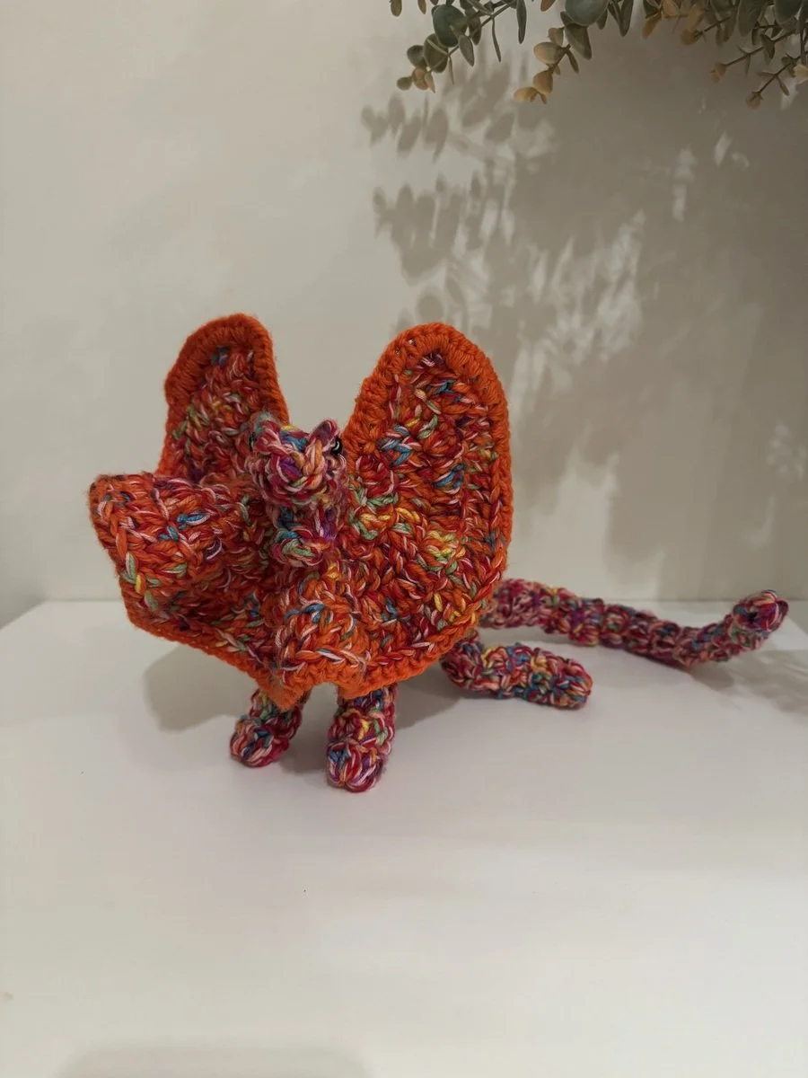 Alycia Page Wilson Frill Seeker2.jpeg