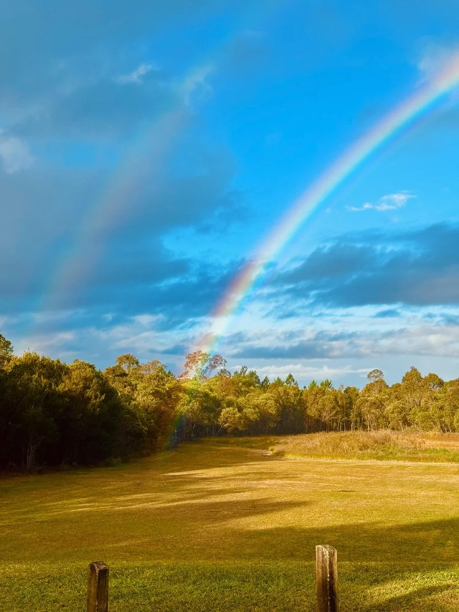 Kohei Sato where the rainbow.jpeg