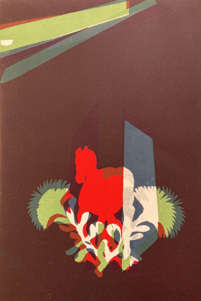 Virginia Harkin Mesembryanthemum 3.jpeg