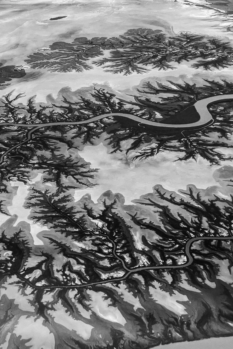 f3691d4c-3b4f-4b54-bc07-fd2861648dbf-l (1).jpg