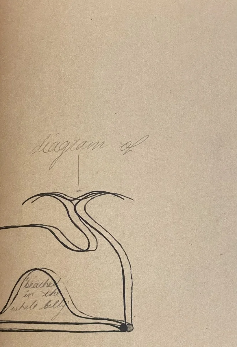 2f49613b-870f-464b-8749-e9ed2bf129bf-l.jpg