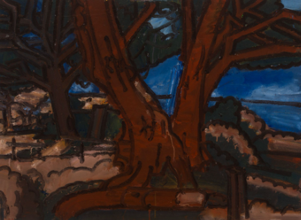 jake Baglin Cypress tree from the shore.png
