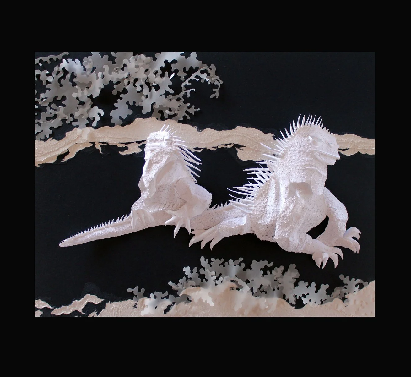 66. Deborah Klein |  Marine Iguana