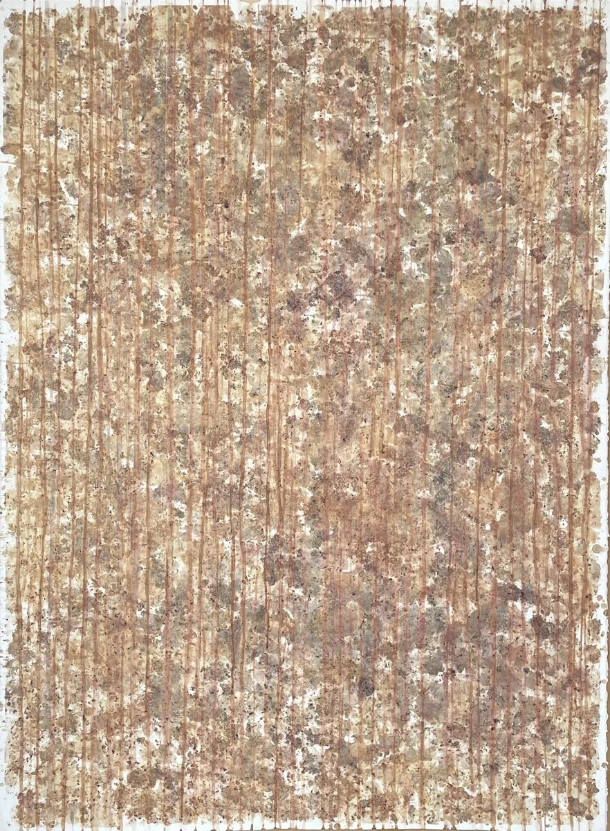 Shayne O'Donnell | Lines on Mulberry Ground