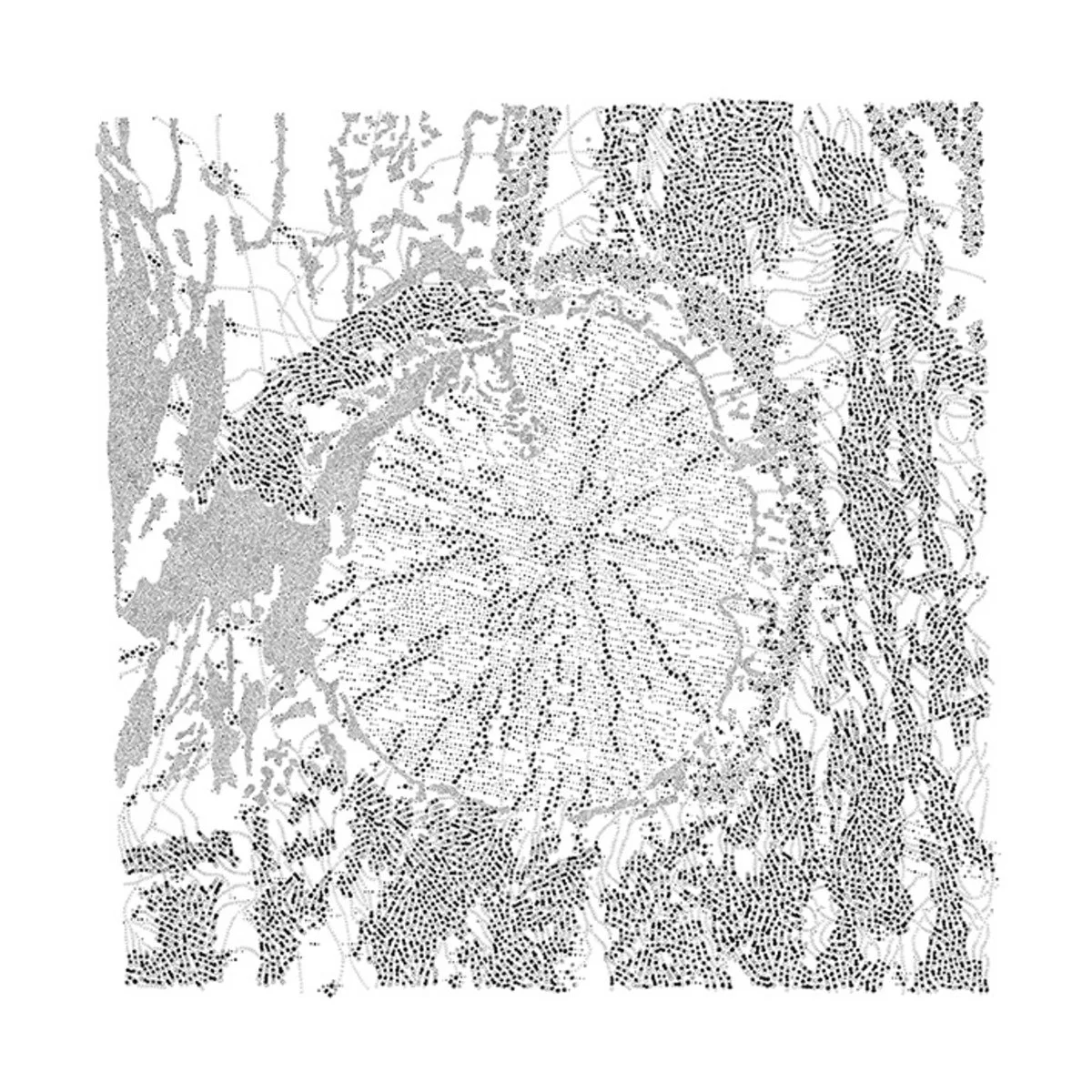 ca93f2e7-21b6-49b4-a6ab-524650b12aec-l.jpg