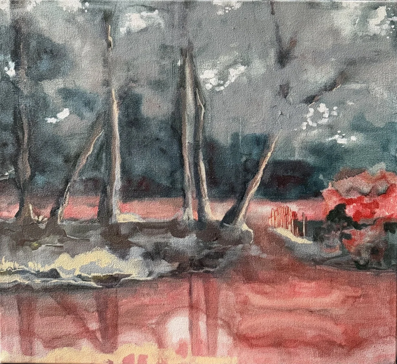 Almay Jordaan | Parc francais