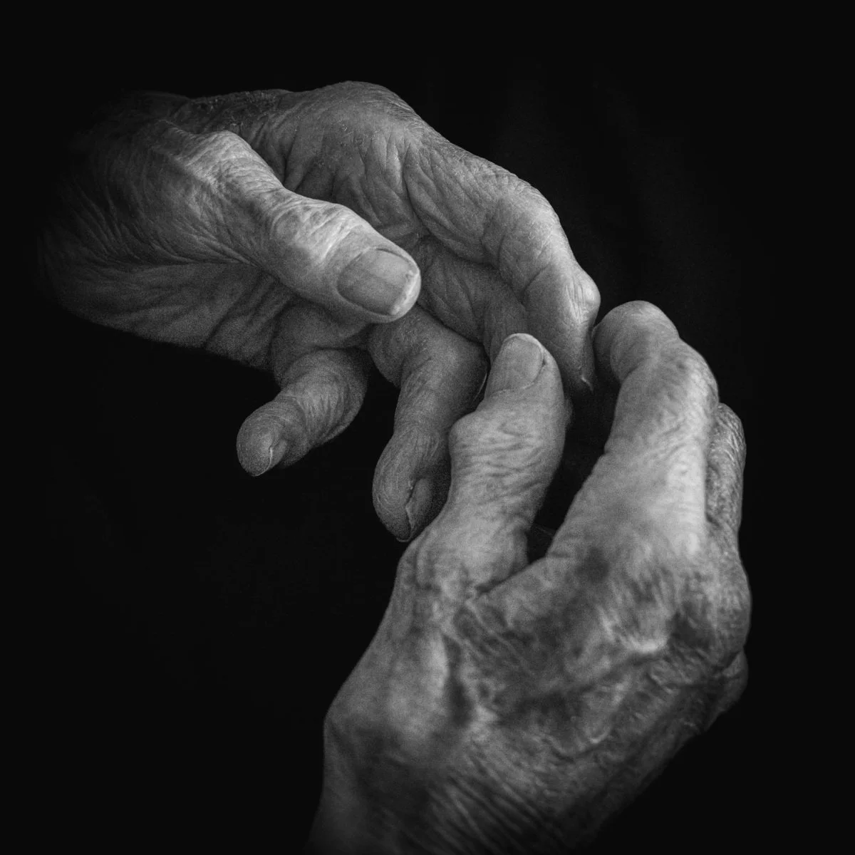 Diane Morgan | Nurturer #2