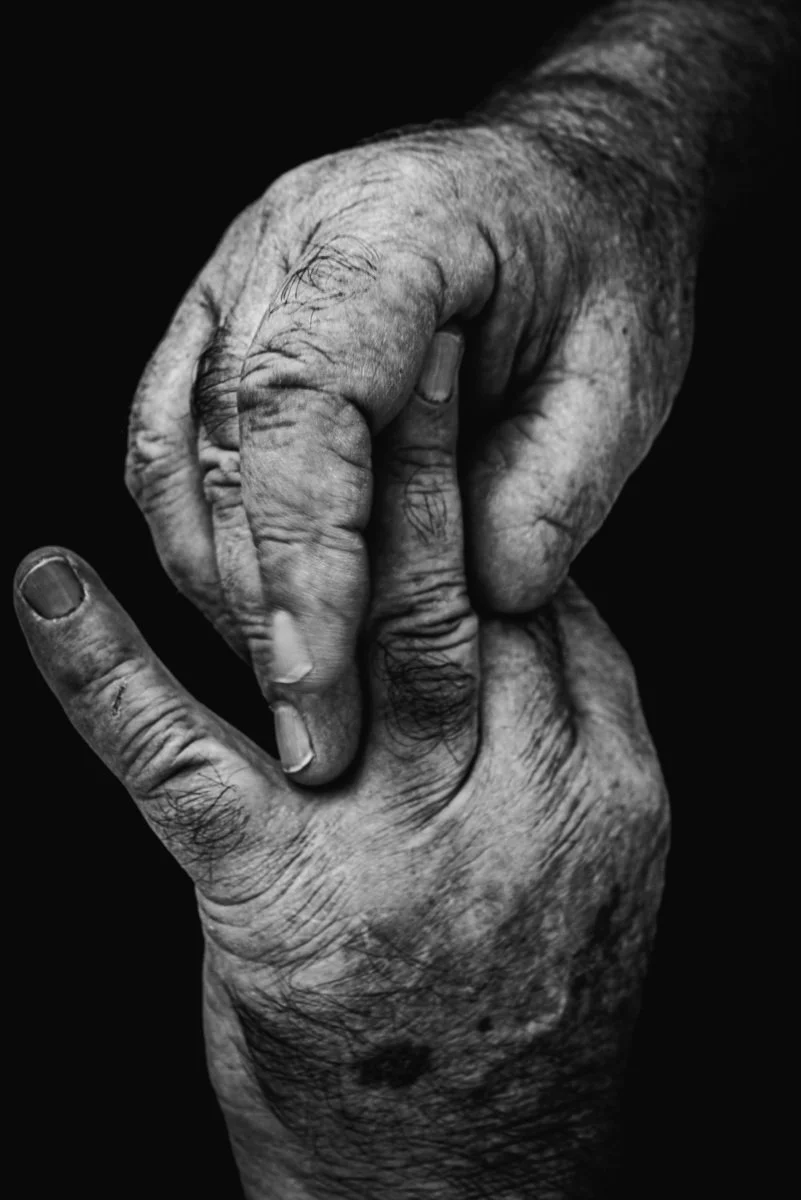 Diane Morgan | Glaze