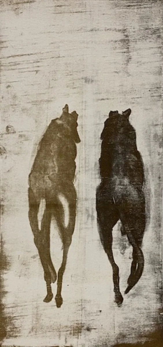 Robyn Blaikie Morning constitutional.jpg