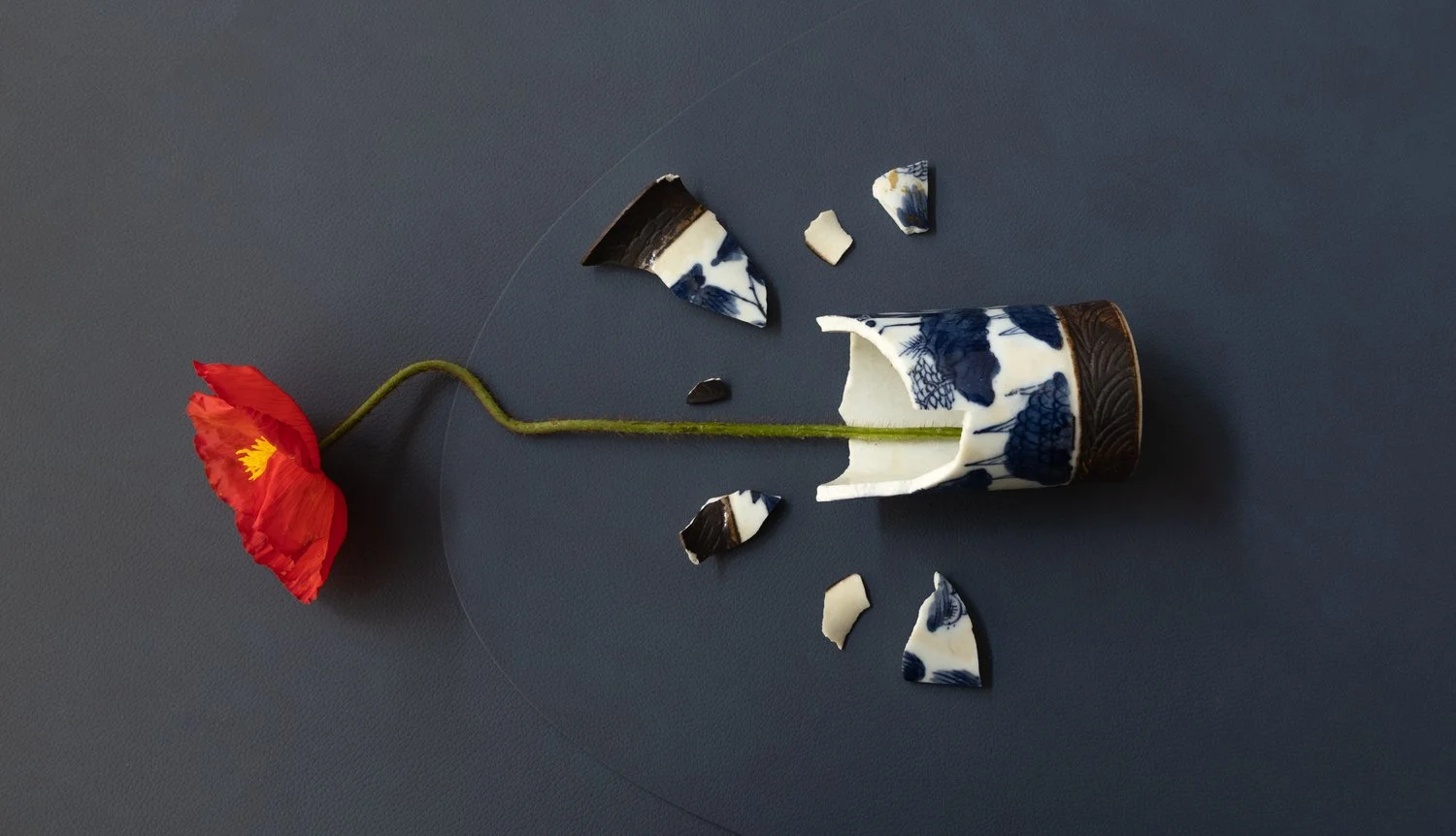 Susan Cowan | Life explodes