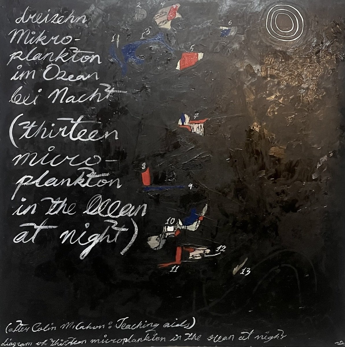 olive bly | diagram of dreizehn Mikroplankton im Ozean bei Nacht