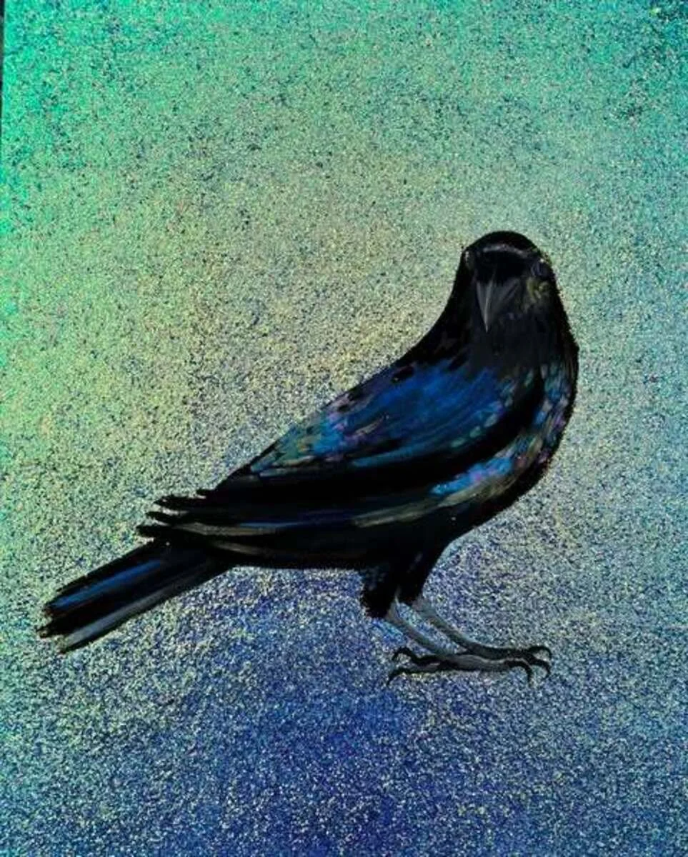 Glenda Sutardy | Raven 2