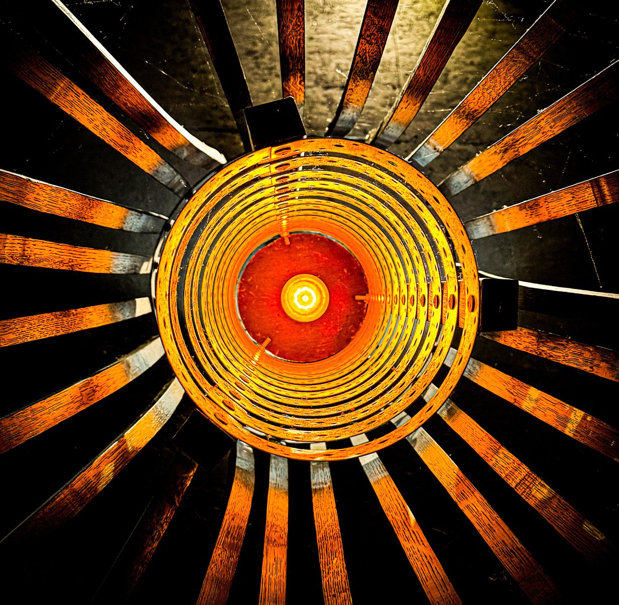 Pranay Lodhiya In Rusted Glow.jpeg