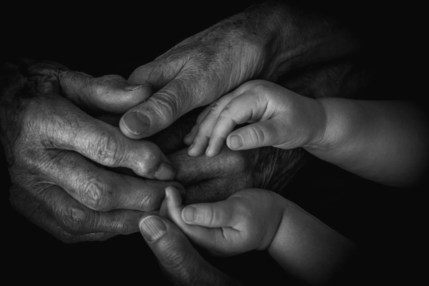 Diane Morgan | Nurturer #5