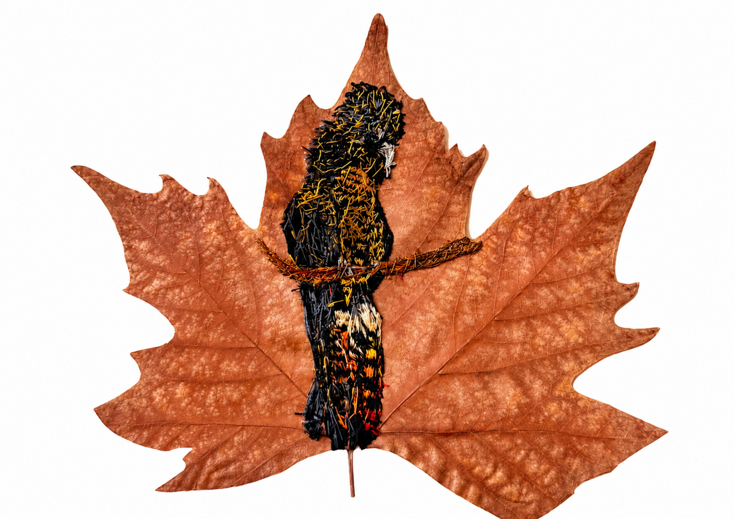 30e45845-0158-4dd4-8d0c-66f29be2fcf8-l (1).png