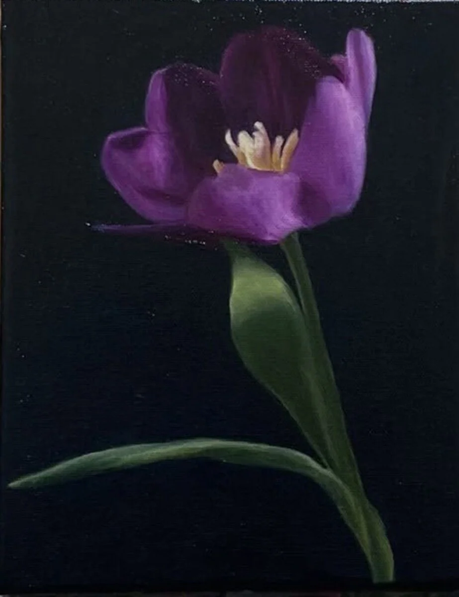 Lata Shetty | Tulip in Bloom