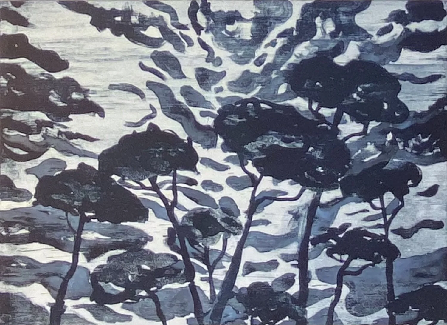 Robyn Blaikie Ancient pine umbrellas.jpg