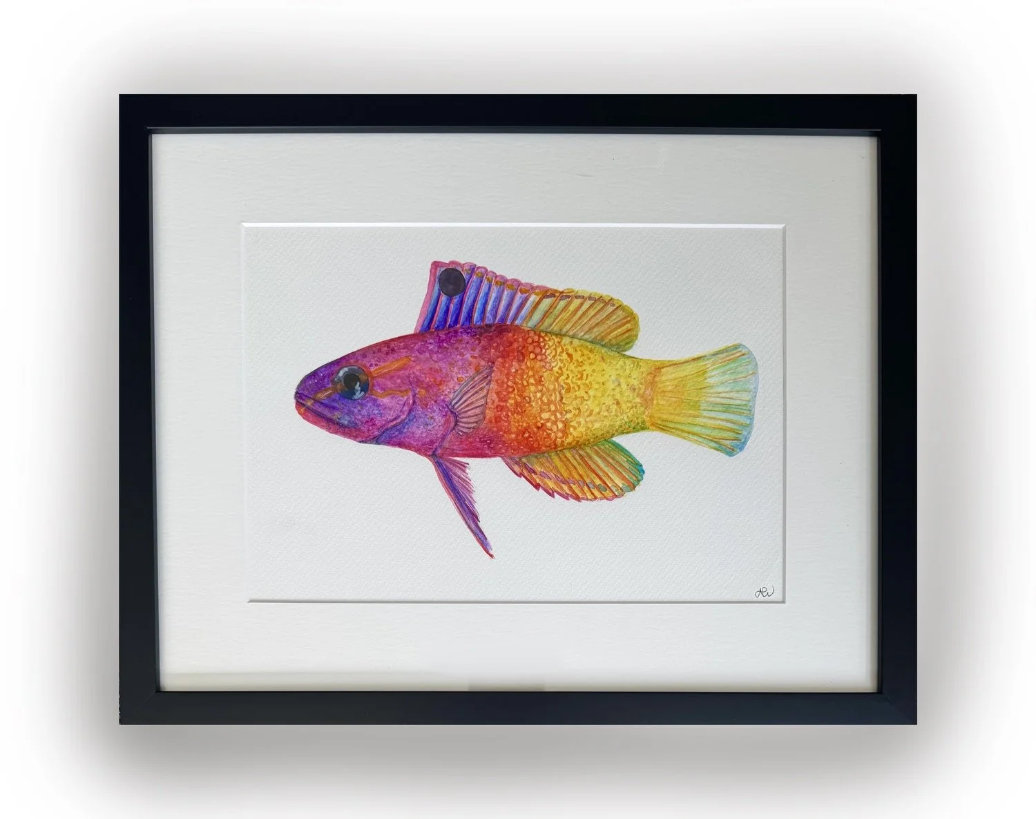 Alycia Page Wilson | Royal Gramma