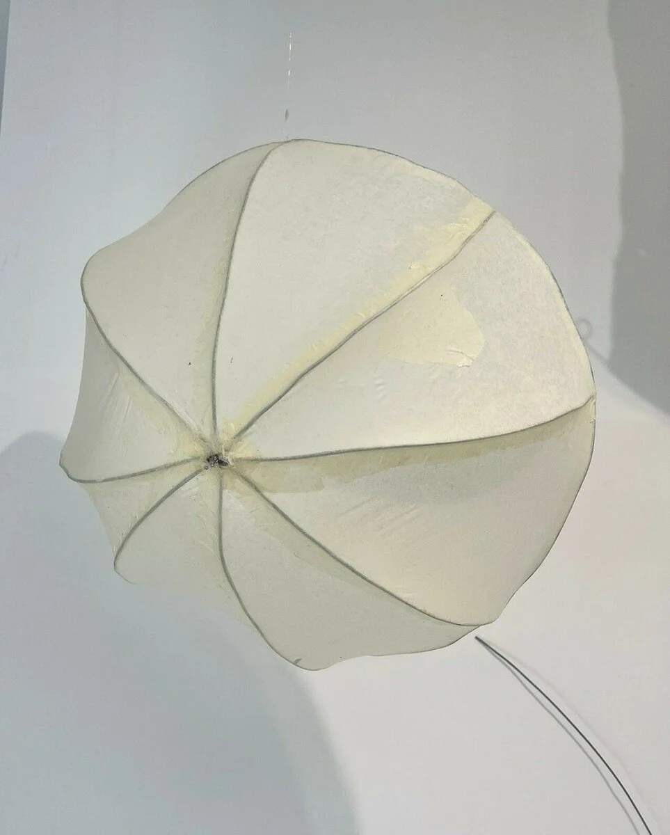 Rubi Taylor Untitled 6.jpeg