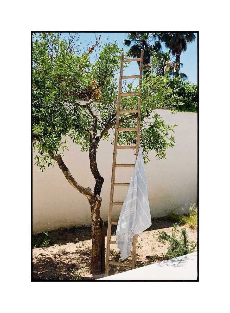 Nick Orloff | Ladder and towel, 2026