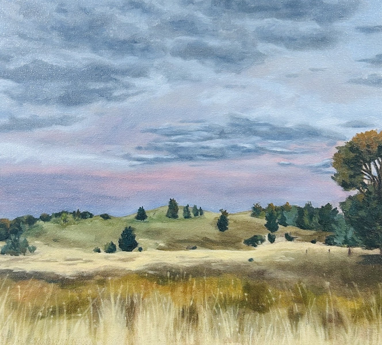 Jennifer Henderson | Summer Sky, Malmsbury