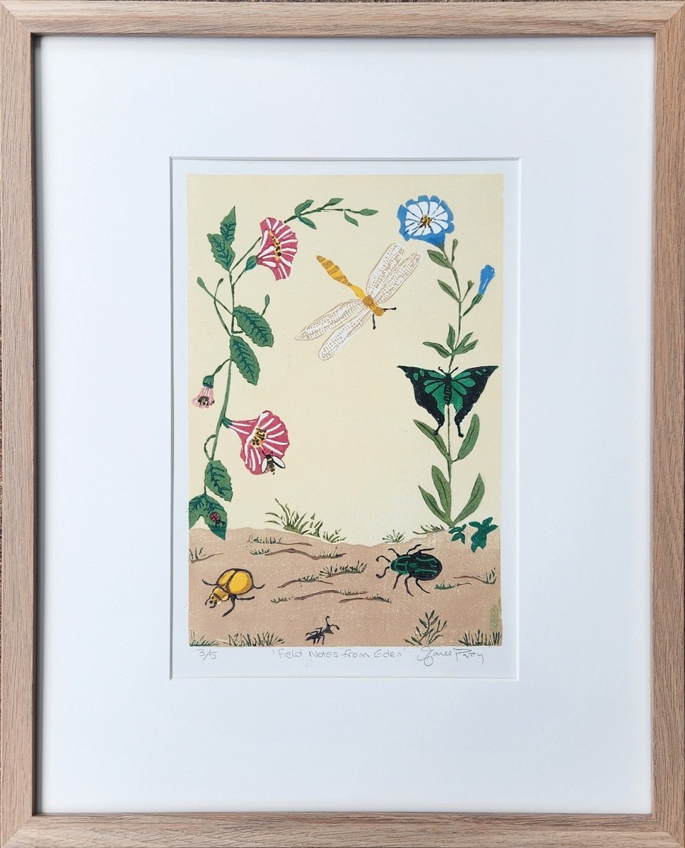 Maree Povey Field Notes from Eden.jpg