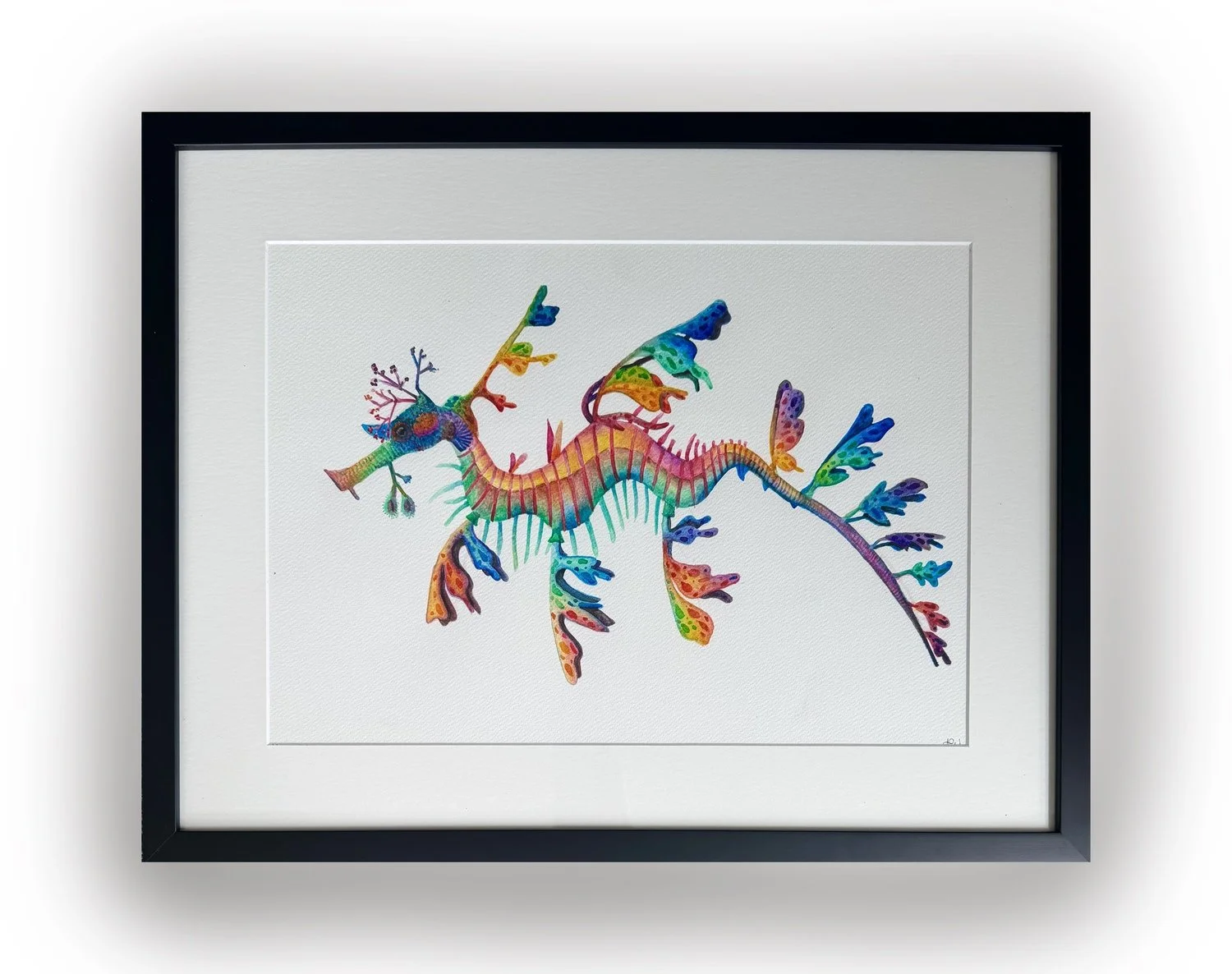 Alycia Page Wilson | Leafy Seadragon
