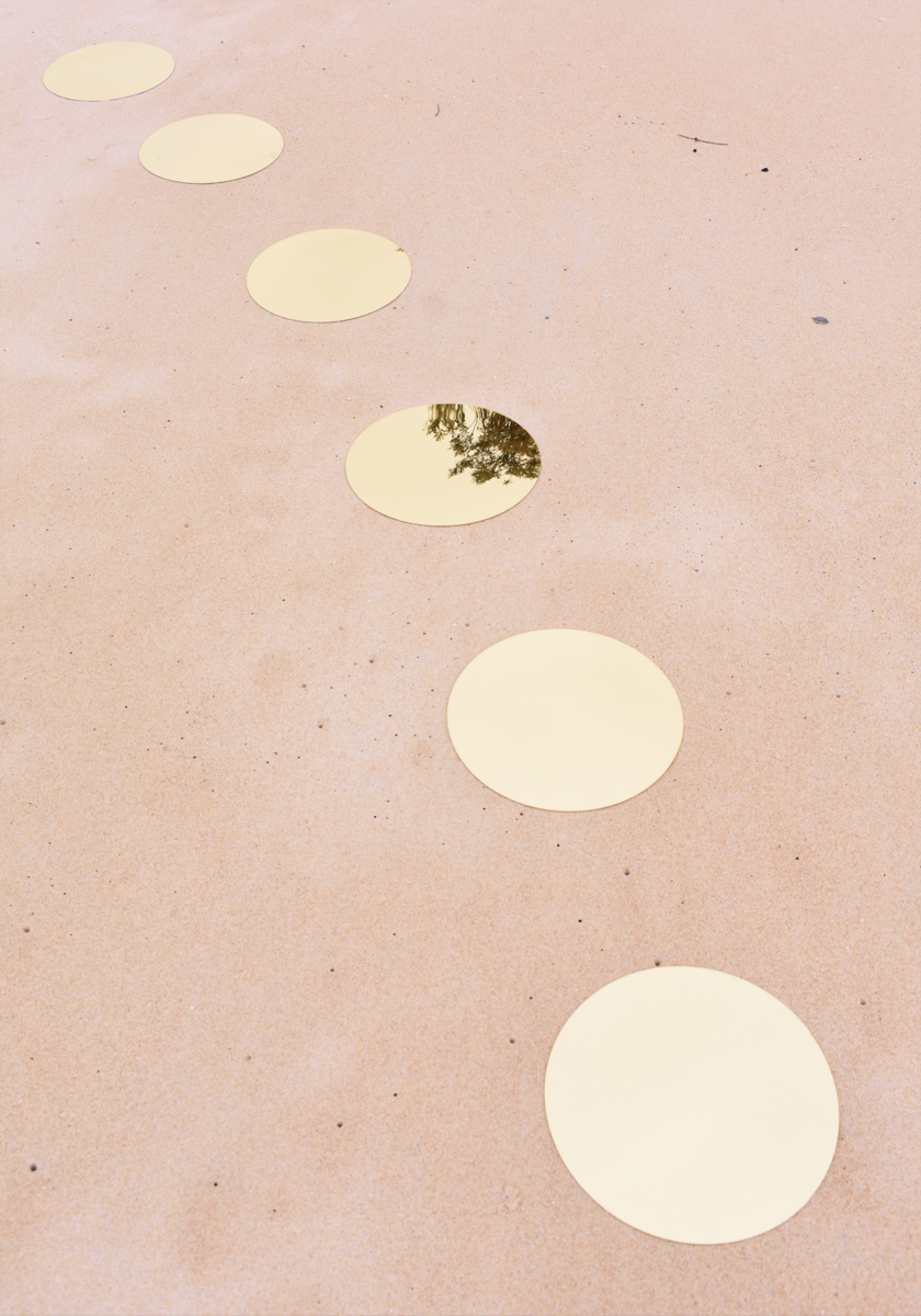 Branka Uljarevic | Fragment of a Tree