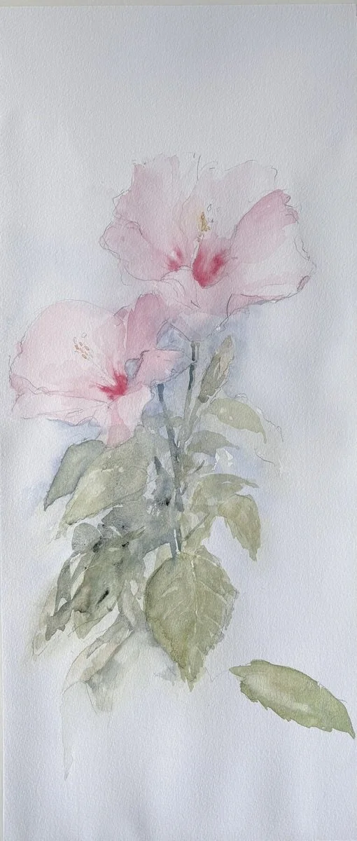 Raphael Chambers | Hibiscus