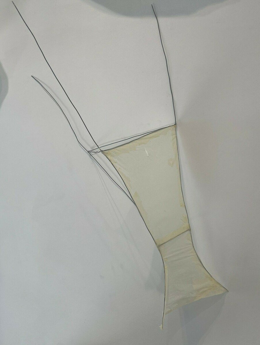 Rubi Taylor Untitled 5.jpeg