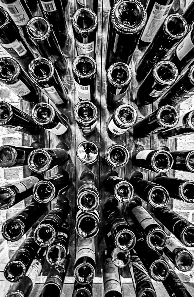 Pranay Lodhiya An Elixir of Luminous Whispers.jpeg