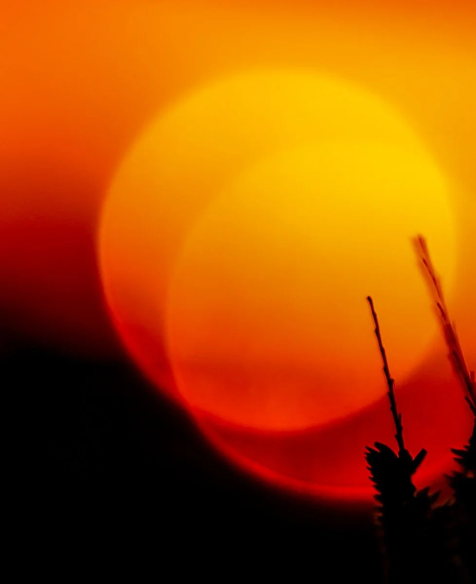 Pranay Lodhiya Whispers of a Shadowed Sun.jpeg