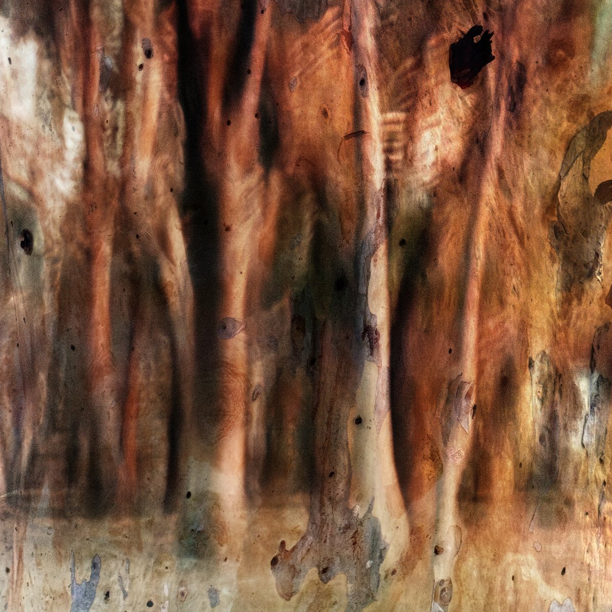 2e0c4a53-36c3-4694-adaa-e1fe2f4de7a4-l.jpg