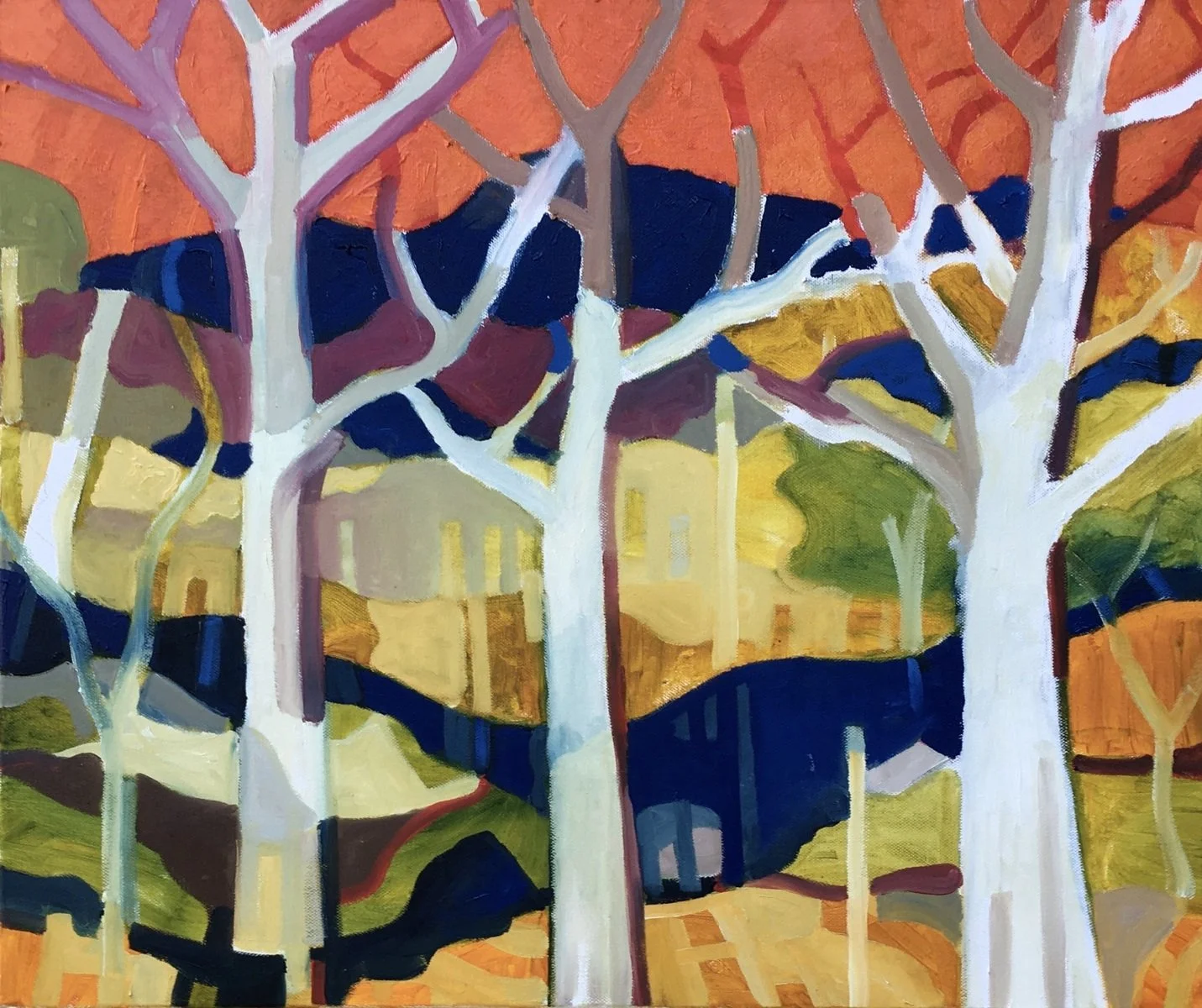 D.M Ross | Ghost Gums