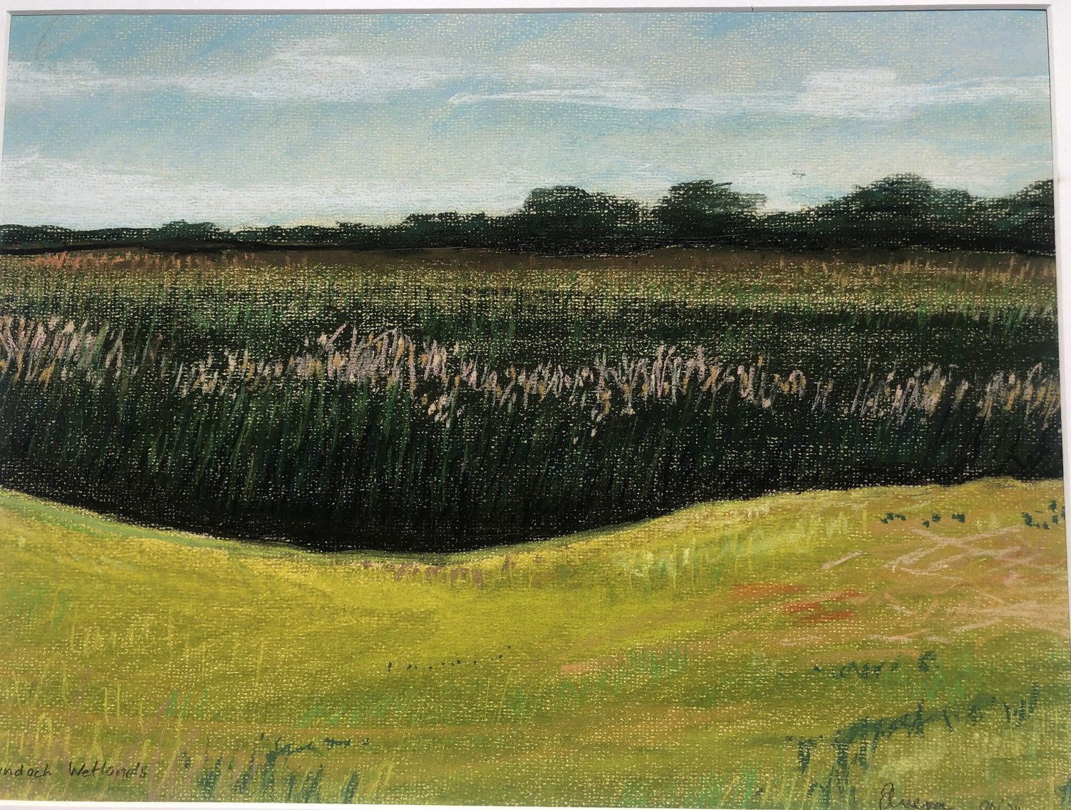 elvera andrews lyndoch wetland.jpeg