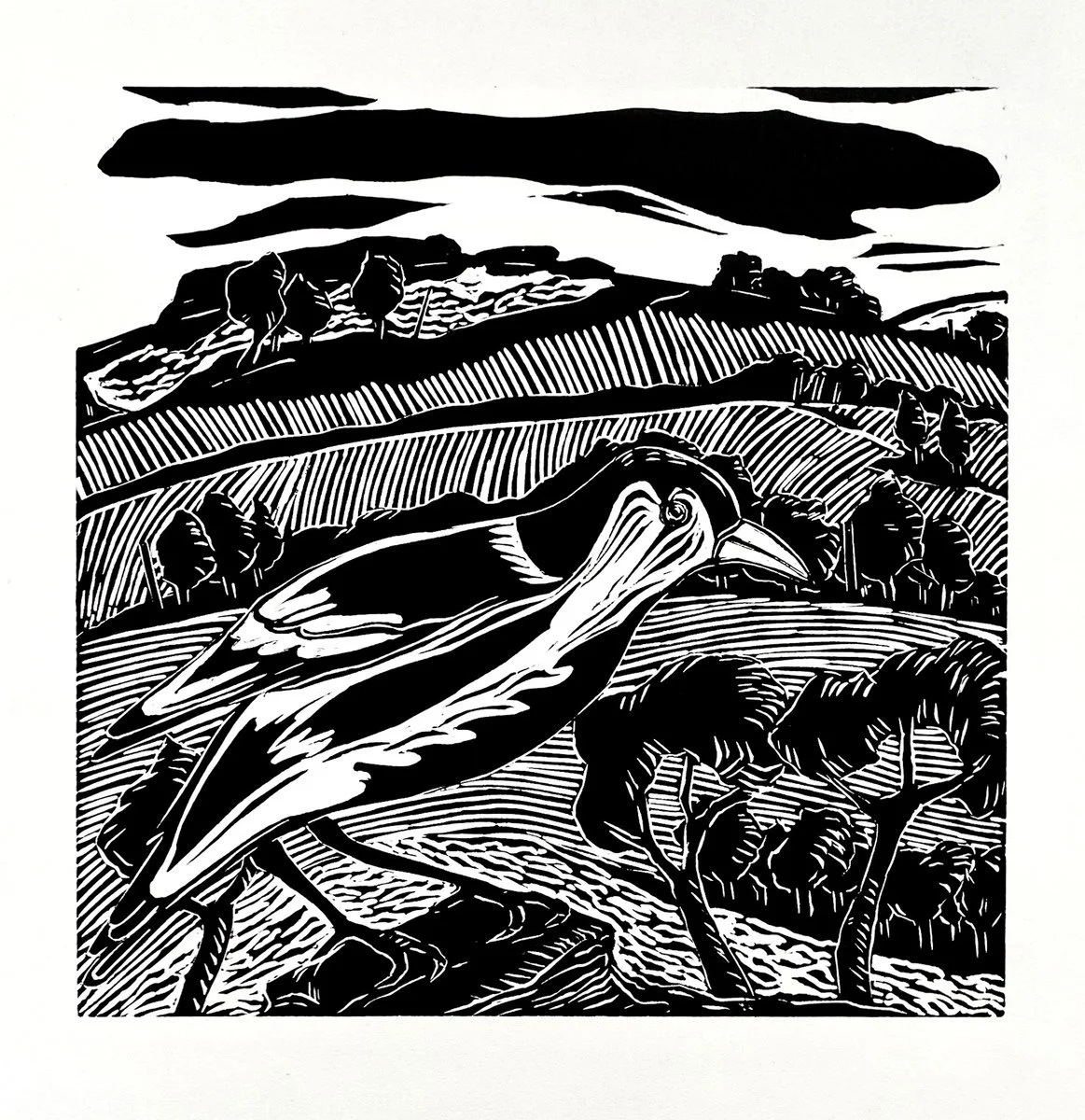 63. Kathy Fahey | Bird's Eye View