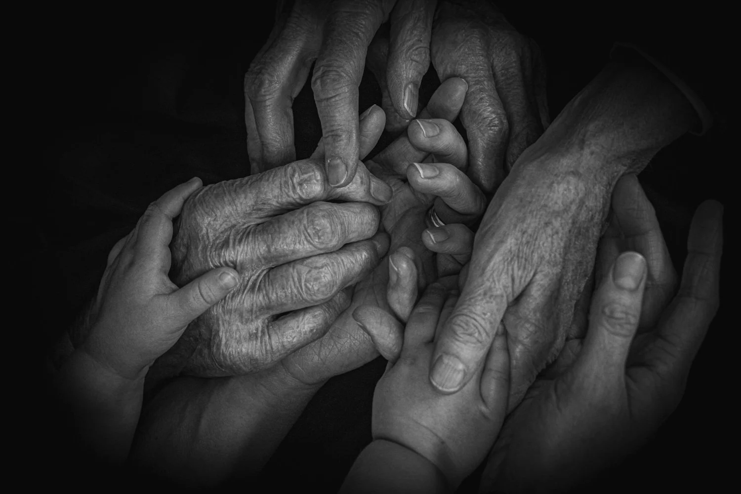 Diane Morgan | Nurturer #4