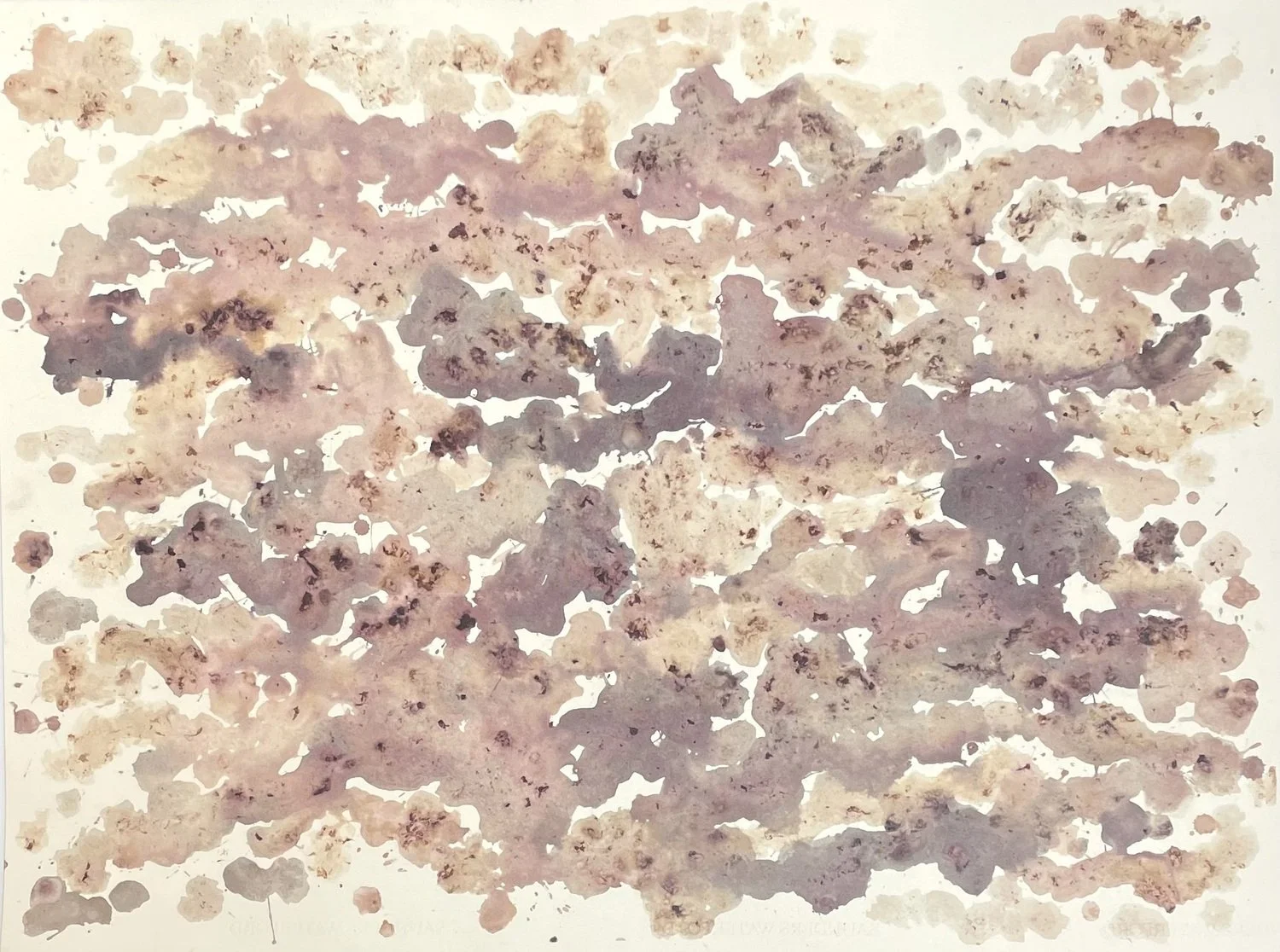 Shayne O'Donnell | Mulberry ground