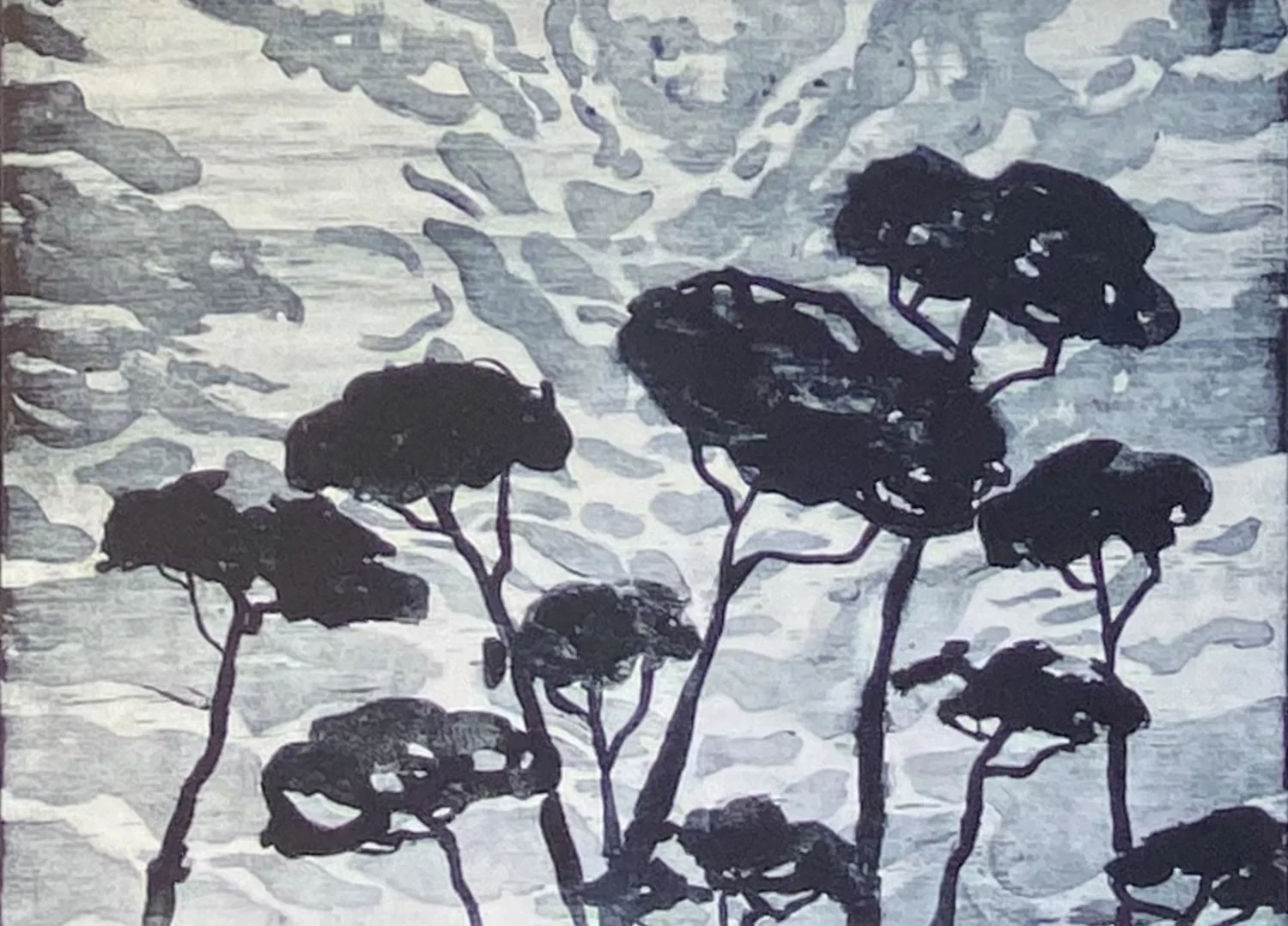 Robyn Blaikie Ancient pine umbrellas 1.jpg