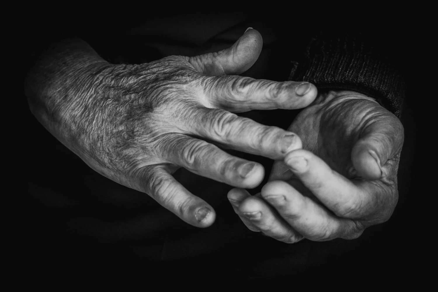 Diane Morgan | Mentor #2